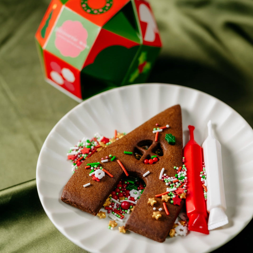 Christmas 2025 | DIY Gingerbread House